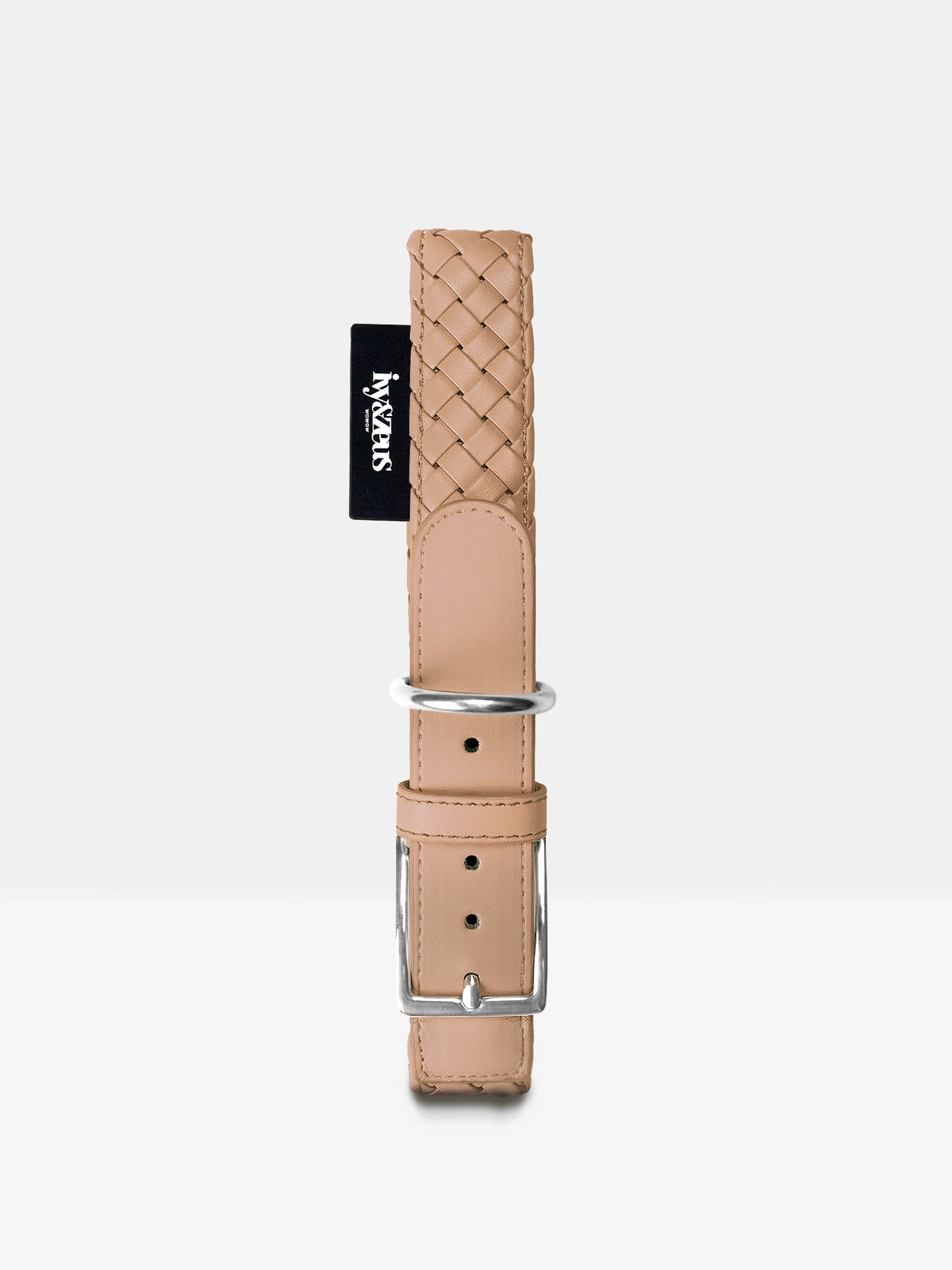 Hundehalsband in Safari Beige mit Metallschnalle, Studioaufnahme