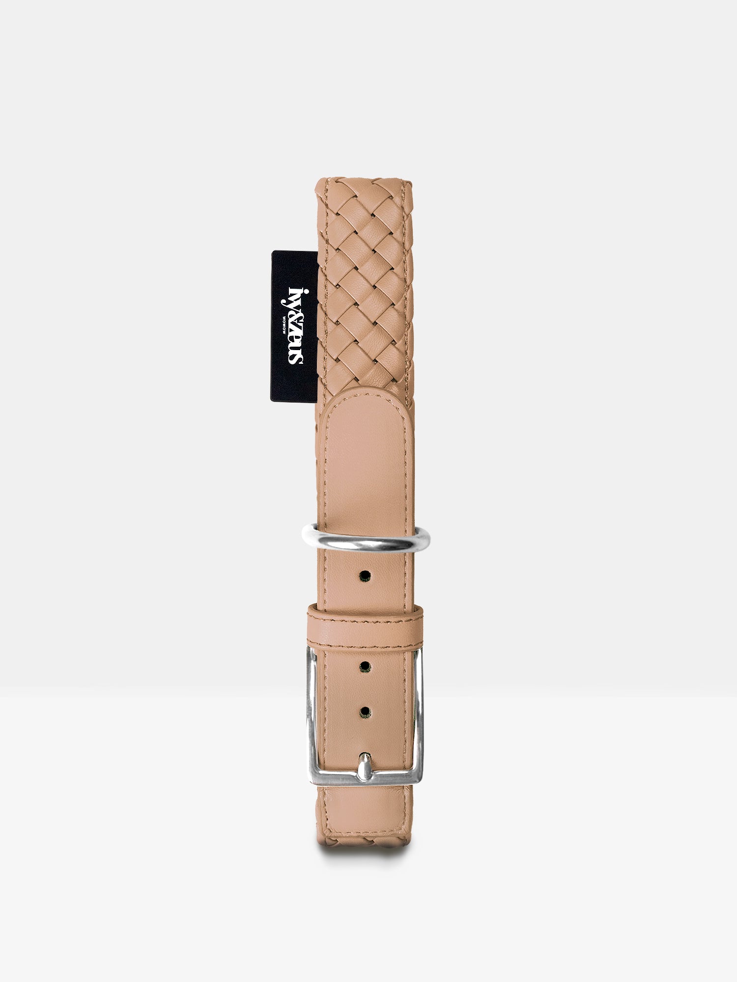Hundehalsband in Safari Beige mit Metallschnalle, Studioaufnahme