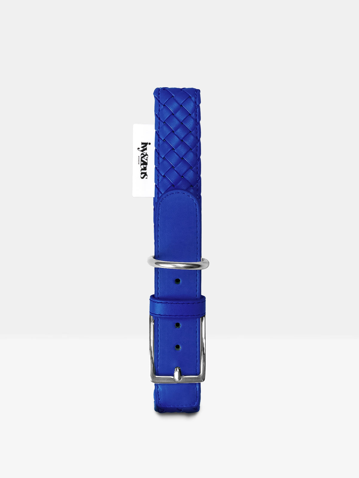 Hundehalsband in Poseidon Blau mit Metallschnalle, Studioaufnahme