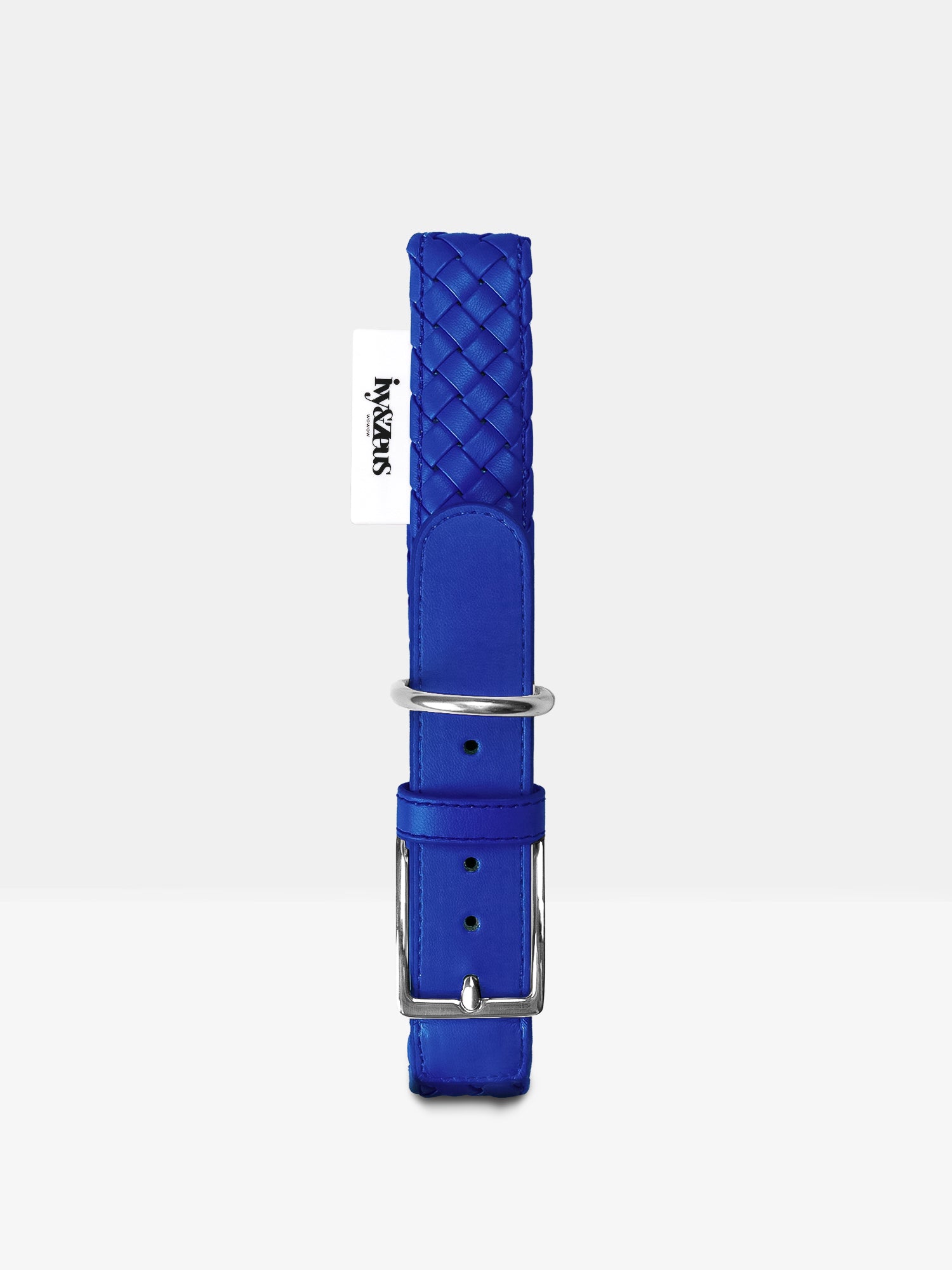 Hundehalsband in Poseidon Blau mit Metallschnalle, Studioaufnahme