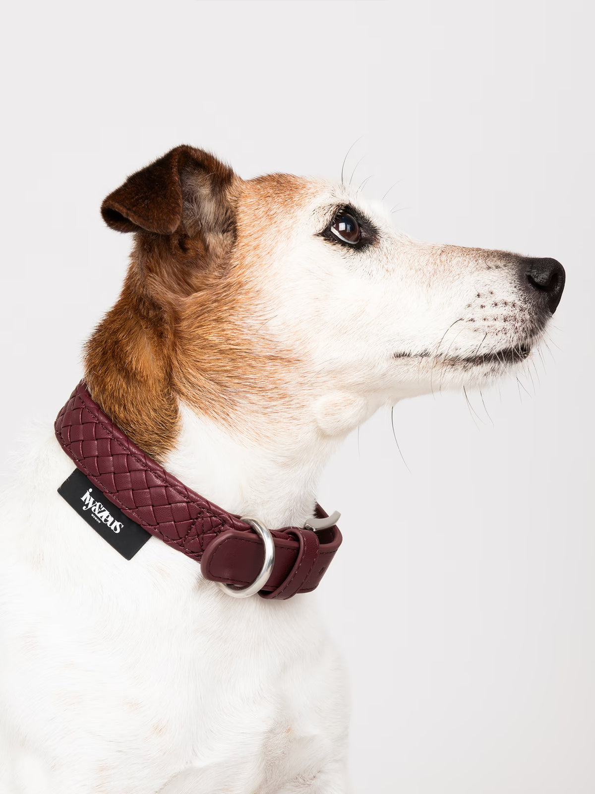 Harmonisches Design: Unser Rusty Set in Bordeaux