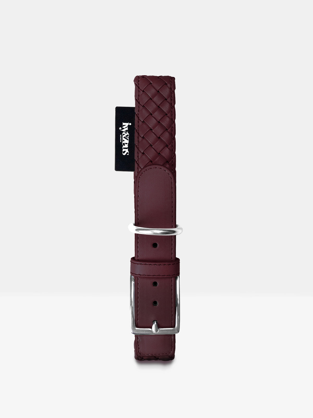 Hundehalsband in Rusty Bordeaux mit Metallschnalle, Studioaufnahme