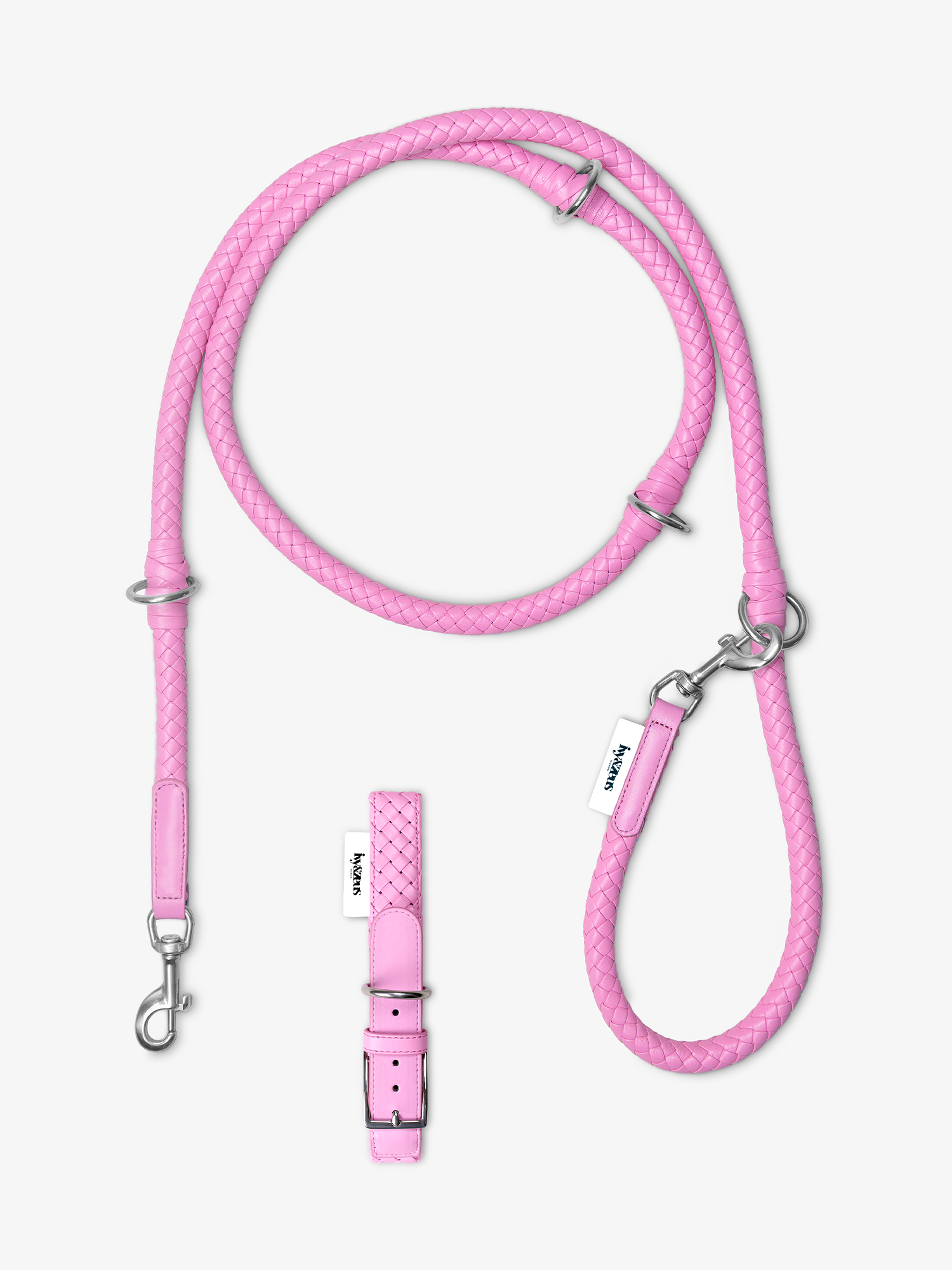 Daisy Set – Hundeleine & Halsband in Rosa