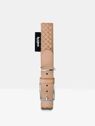 Hundehalsband in Safari Beige mit Metallschnalle, Studioaufnahme